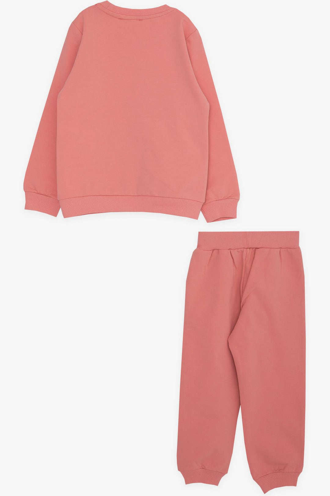 BRE Breeze Girl Child Tracksuit Unicorn Printed 1-4 Years, Powder - Xicotepec de Juárez