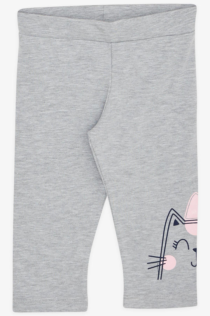 BRE Breeze Girl Child Leggings Set with Glittery Kitten Print, 1.5-5 Years, Powder - New Bedford