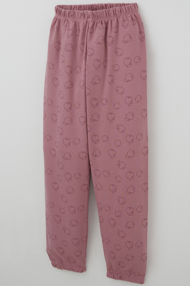 BRE Breeze Kız Çocuk Pijama Takımı Elma Desenli Beli Paçası Lastikli 4-8 Yaş, Gülkurusu - Portage