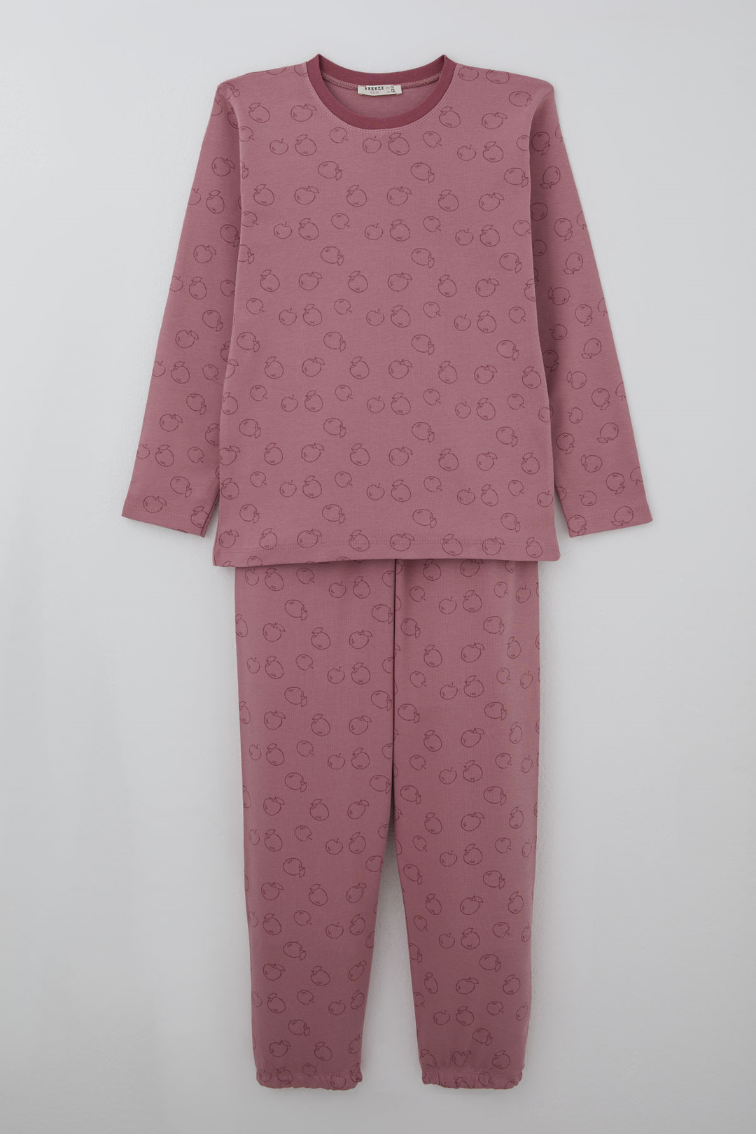 BRE Breeze Kız Çocuk Pijama Takımı Elma Desenli Beli Paçası Lastikli 92 Yaş, Gülkurusu - Roosendaal