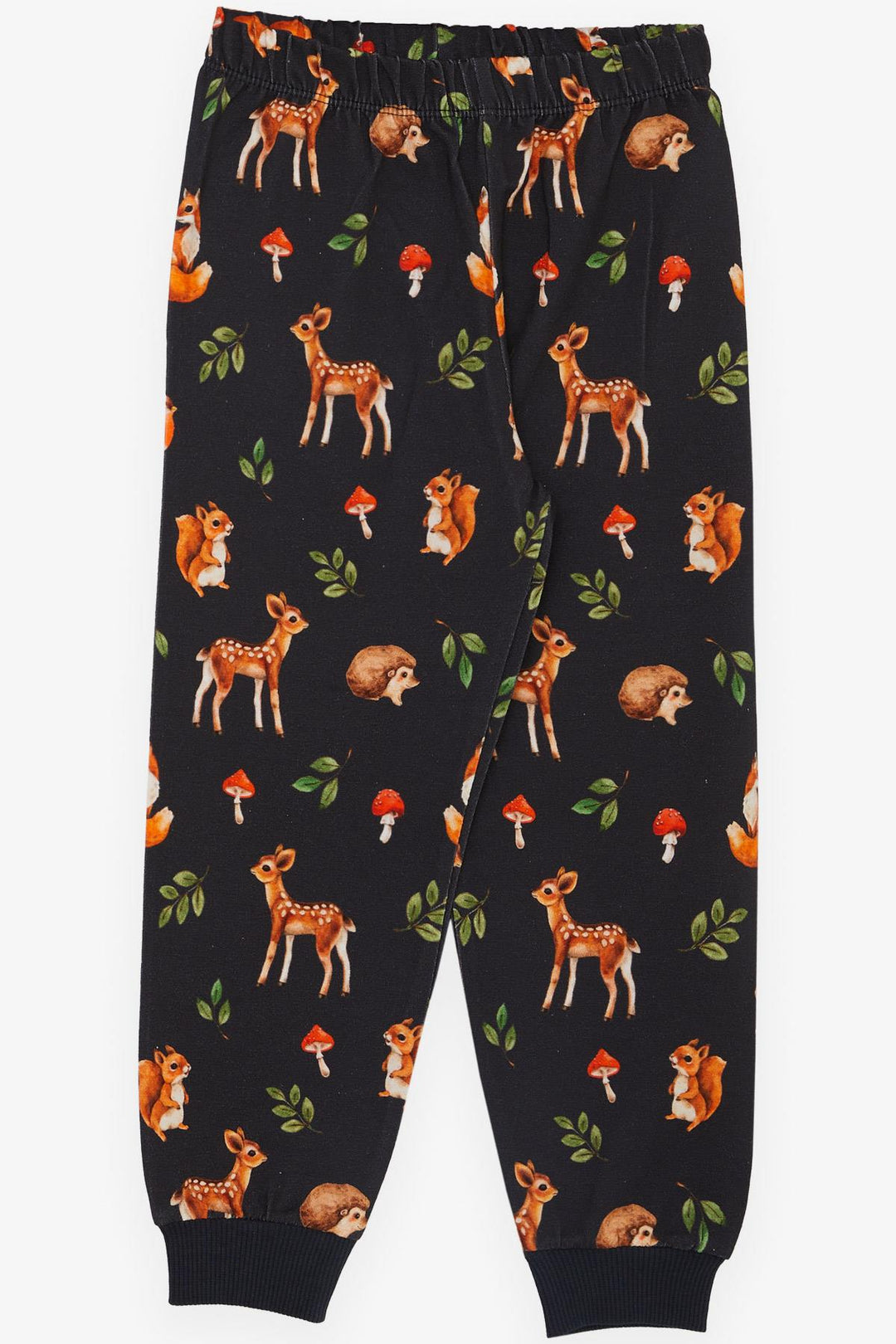 BRE Breeze Girl's Pyjama Set Forest Themed Cute Animal Patterned 1-4 Years, Anthracite - Waterlooville