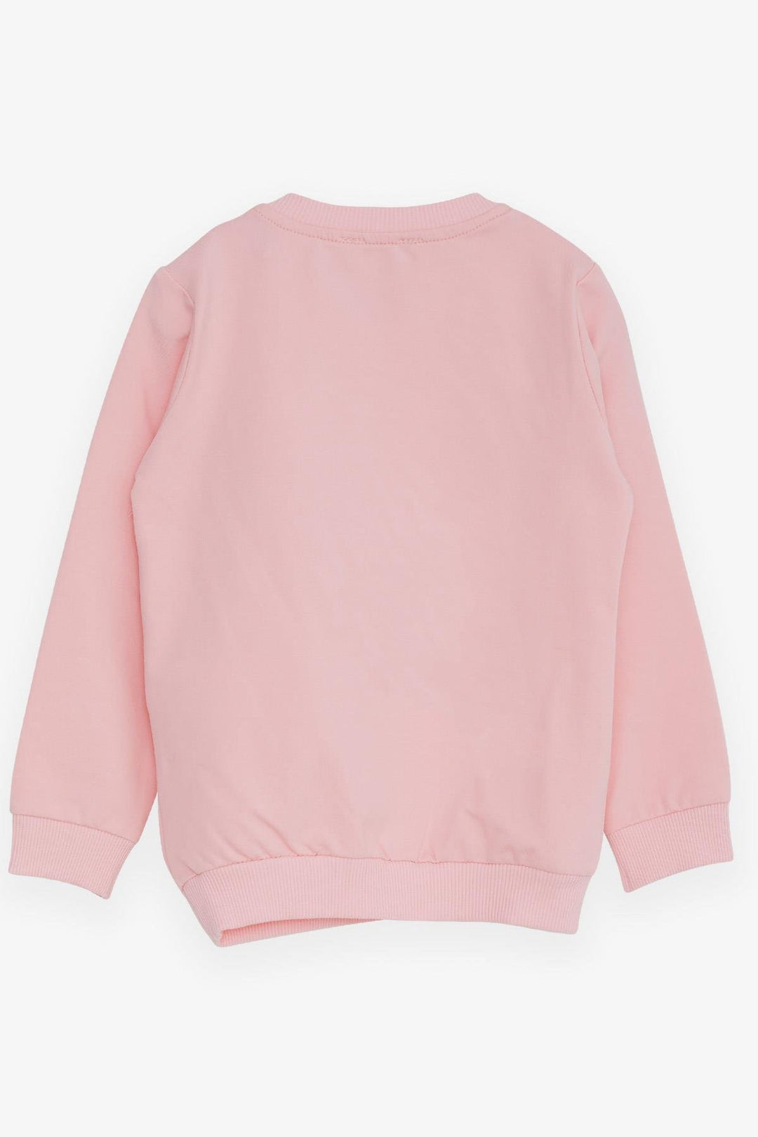 BRE Breeze Girl Child Sweatshirt with Bear Accessories, 1.5-5 Years, Pink - Beaumont