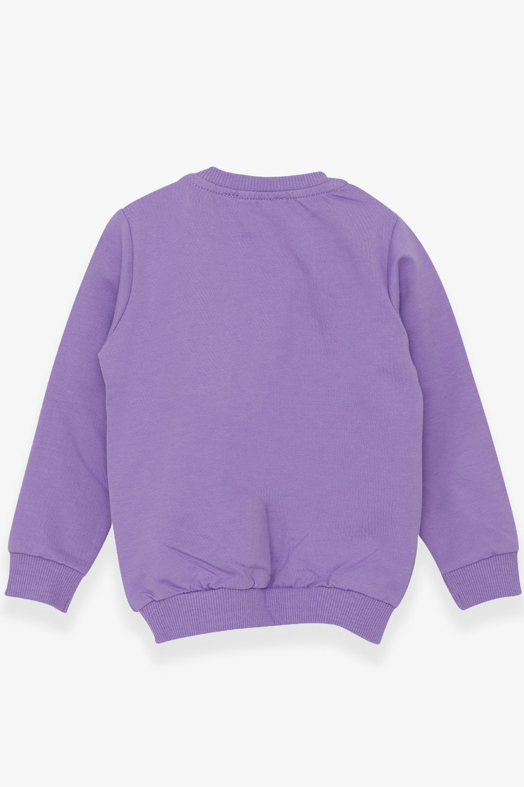 BRE Breeze Girl Child Sweatshirt with Bear Accessories 1.5-5 Years, Lilac - Twickenham