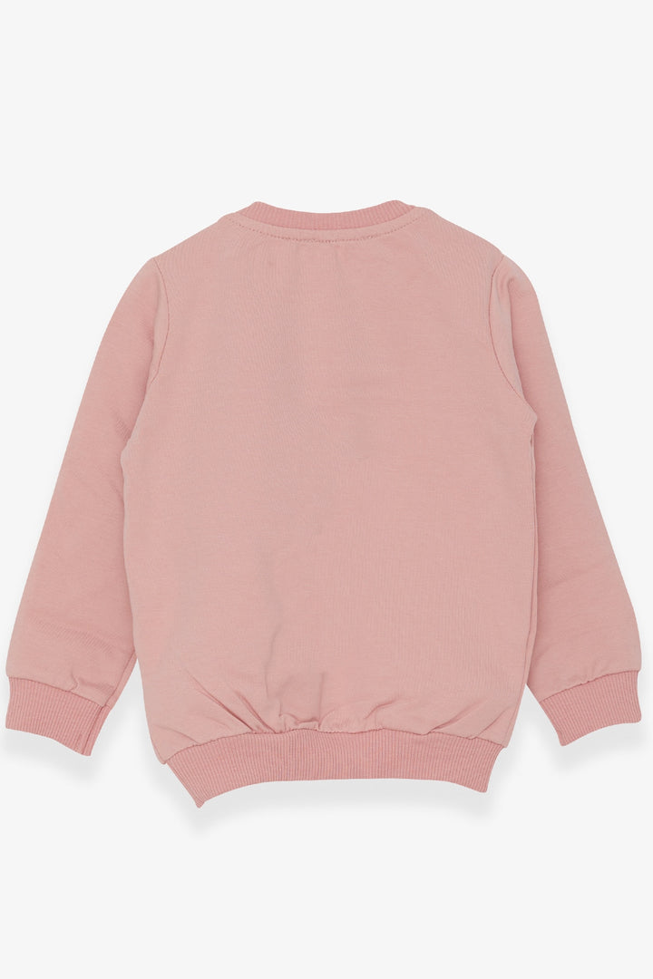 BRE Breeze Girl Child Sweatshirt with Bear Accessory, 1.5-5 Years, Salmon - Gilbert