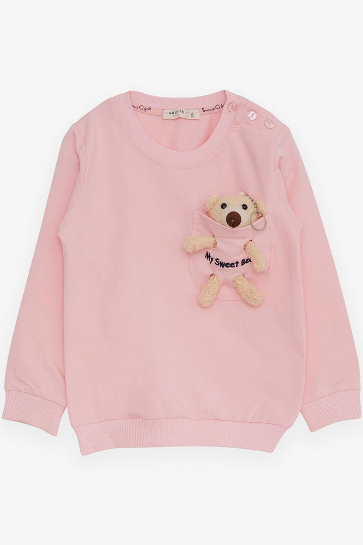 BRE Breeze Girl Child Sweatshirt with Bear Accessories, 1.5-5 Years, Pink - Beaumont