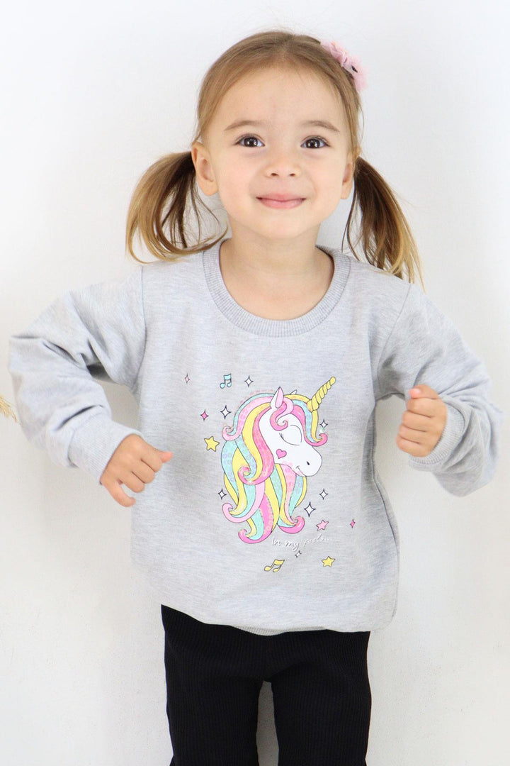 BRE Breeze Girl Child Sweatshirt Printed Sequined Unicorn 2-6 Years, Gray Melange - Whangarei