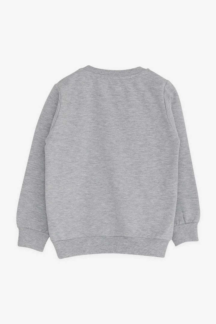 BRE Breeze Girl Child Sweatshirt Printed Sequined Unicorn 2-6 Years, Gray Melange - Whangarei