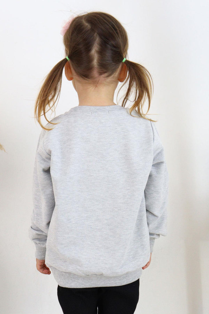 BRE Breeze Girl Child Sweatshirt Printed Sequined Unicorn 2-6 Years, Gray Melange - Whangarei