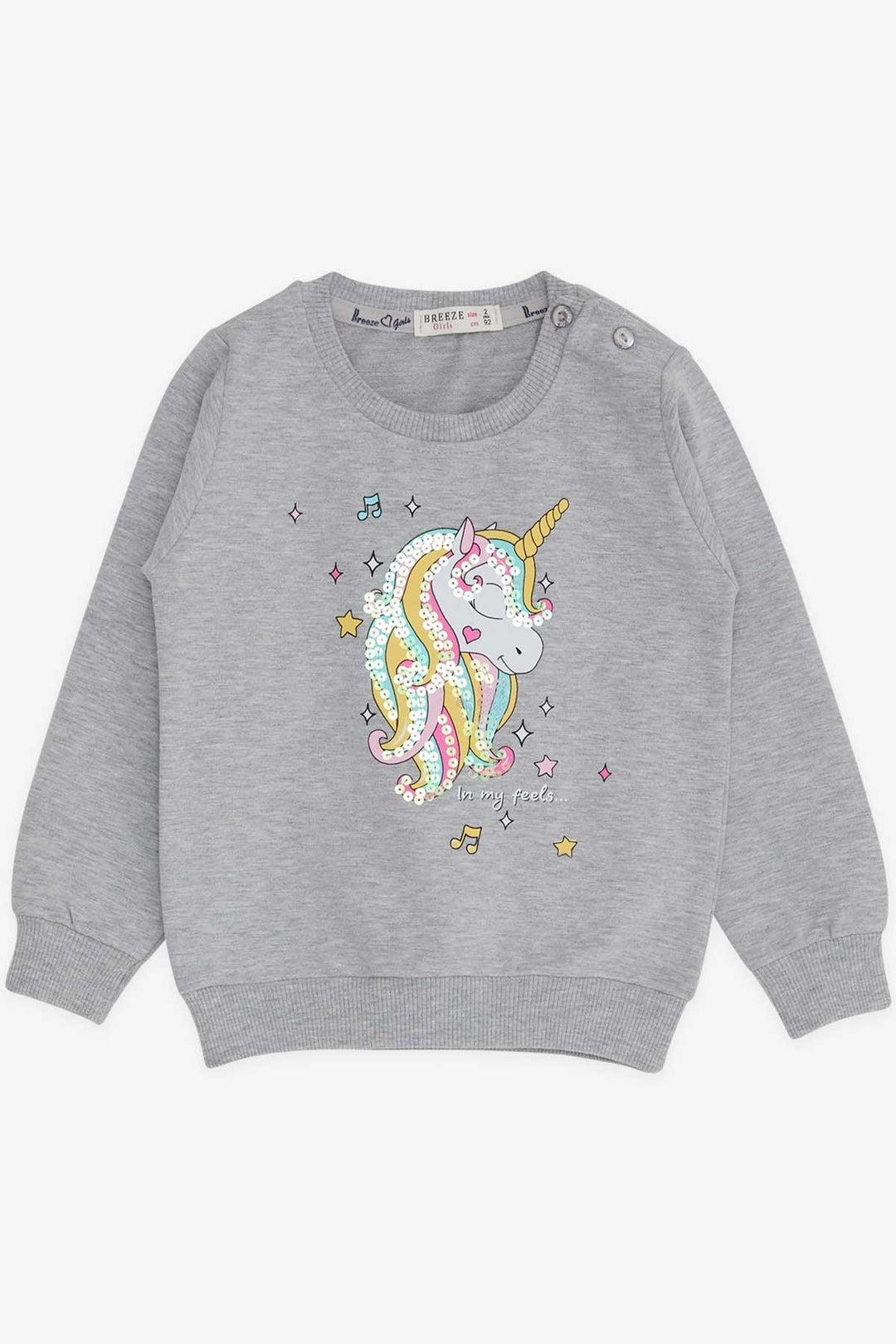 BRE Breeze Girl Child Sweatshirt Printed Sequined Unicorn 2-6 Years, Gray Melange - Whangarei