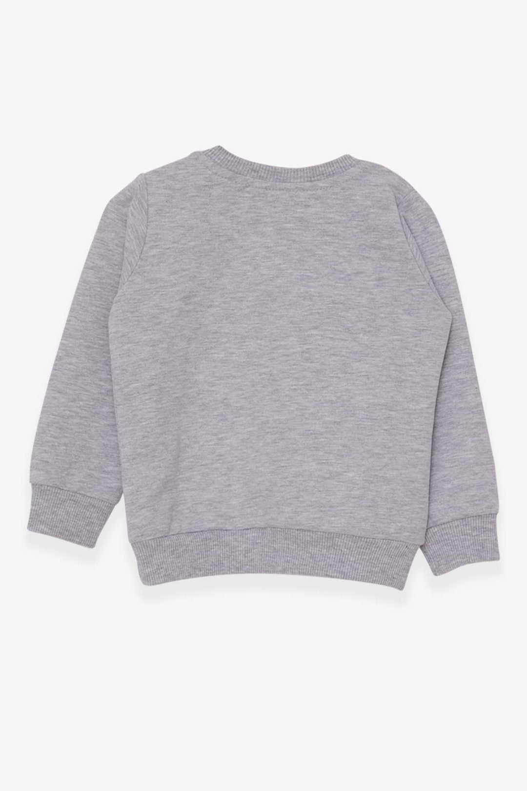 BRE Breeze Girl Child Sweatshirt Printed Unicorn 1.5-5 Years, Gray Melange - Acayucan