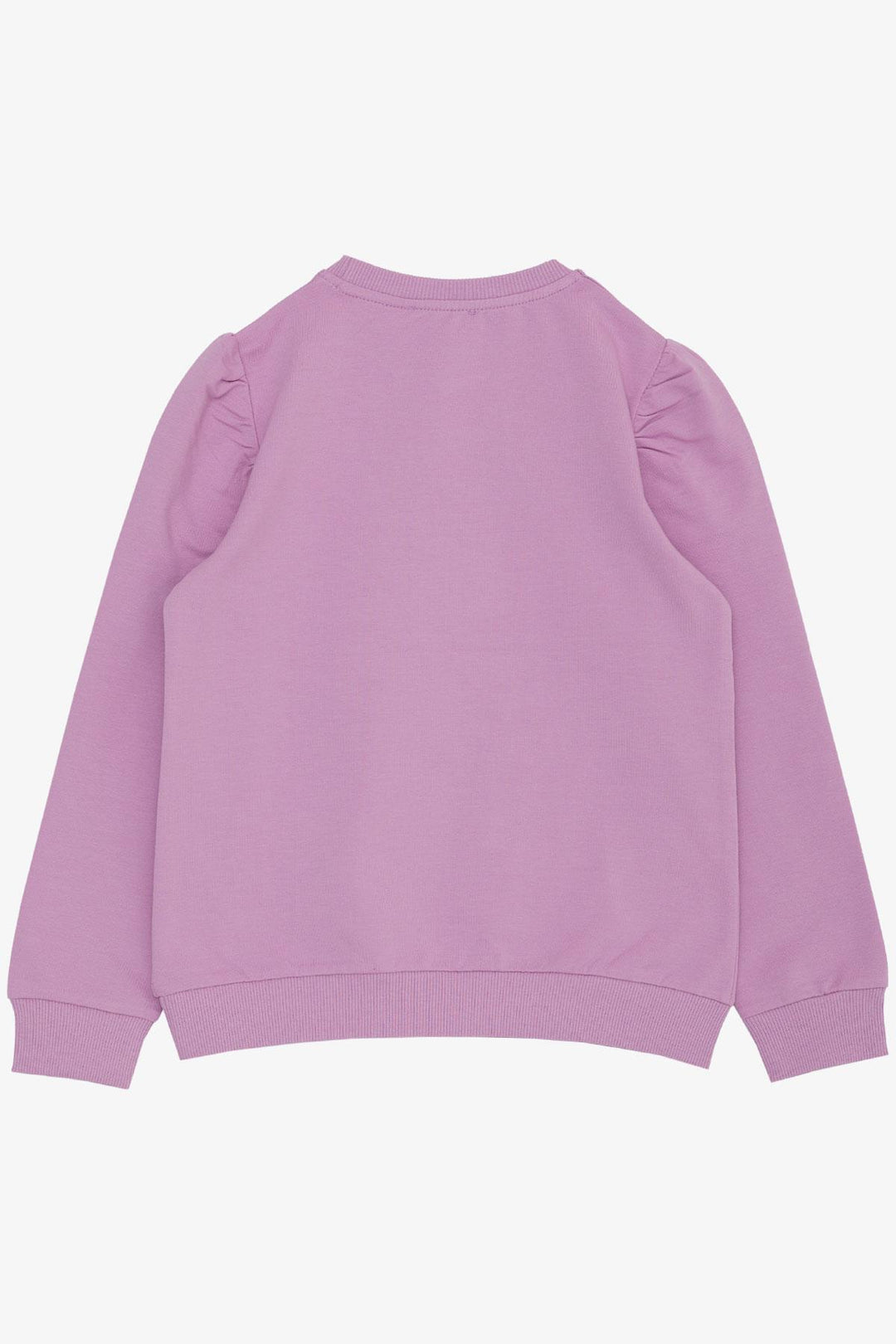 BRE Breeze Girl's Sweatshirt Flower & Text Printed 62 Years, Purple - Temple