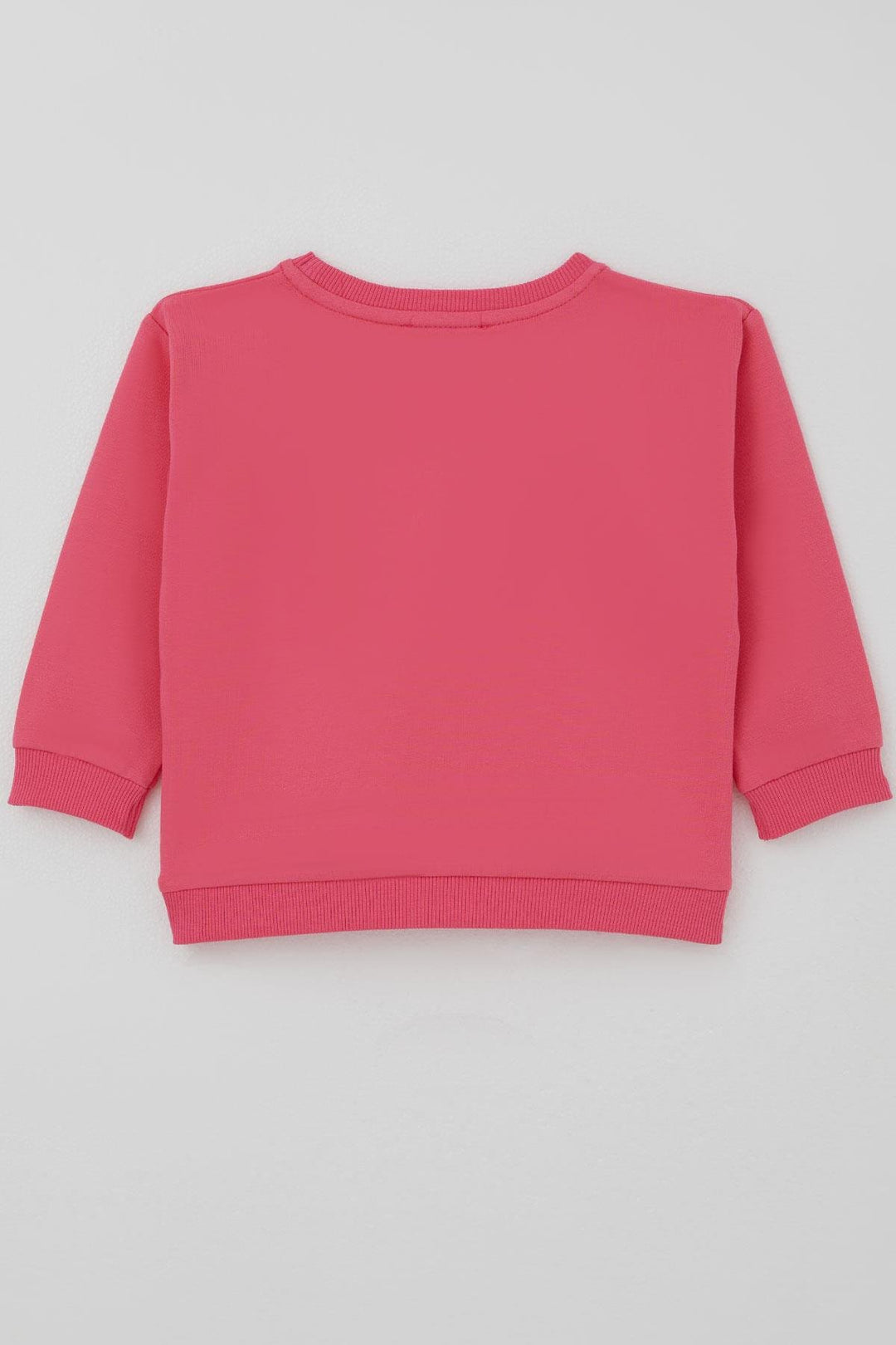 BRE Breeze Girl Child Sweatshirt with Bow Flower Print, 2-6 Years, Pink - Ruislip