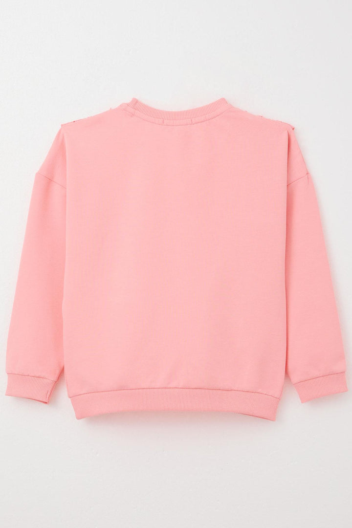 BRE Breeze Girl Child Sweatshirt with Lace 1.5-5 Years, Pink - Wayne