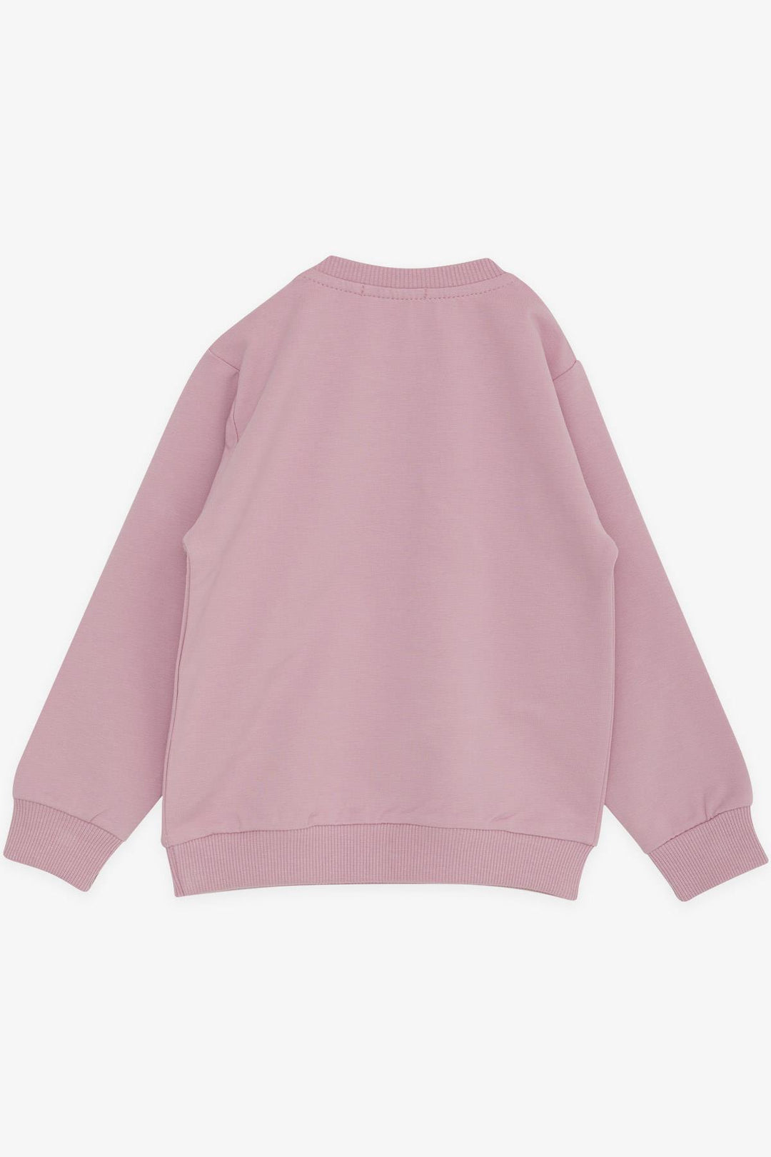 BRE Breeze Girl Child Sweatshirt Cool Girl Printed 1.5-5 Years, Pink - Pomona