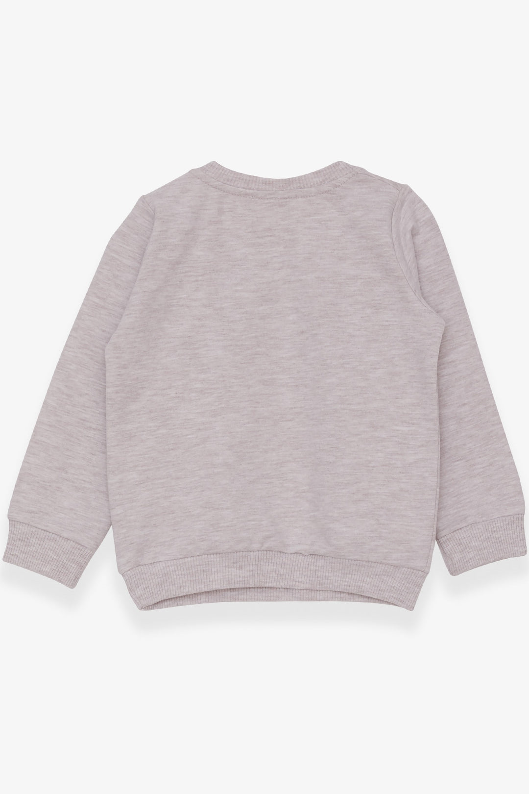 BRE Breeze Girl Child Sweatshirt with Animal Print, 1.5-5 Years, Beige Melange - San Juan