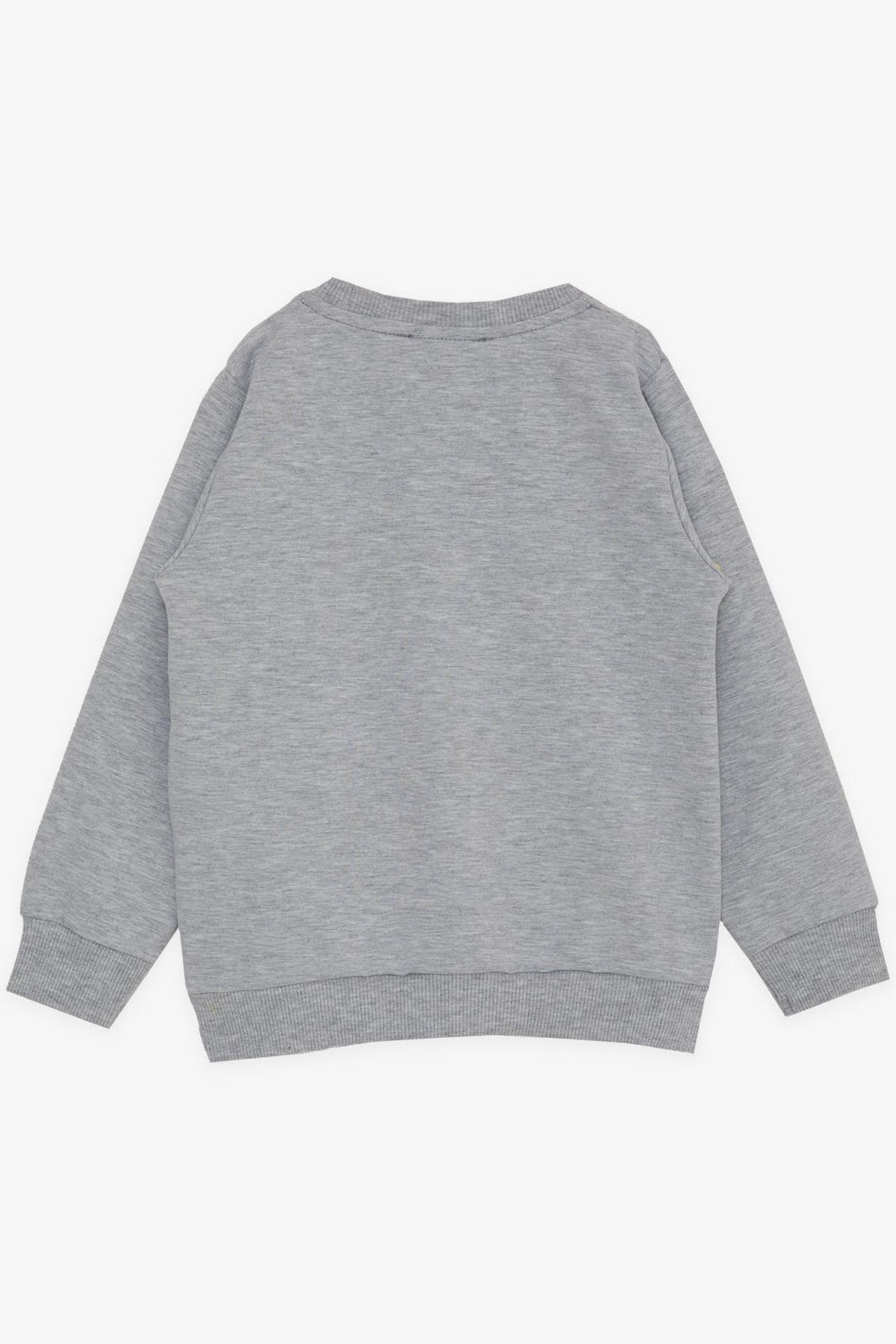 BRE Breeze Girl Child Sweatshirt Butterfly Printed 3-8 Years, Light Grey Melange - Dendermonde