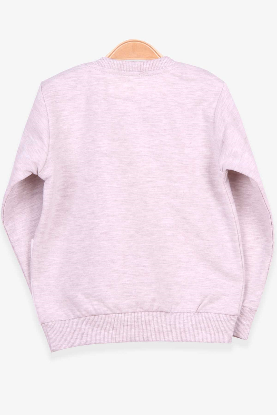 BRE Breeze Girl Child Sweatshirt Dog Printed 2-6 Years, Beige Melange - Coppell