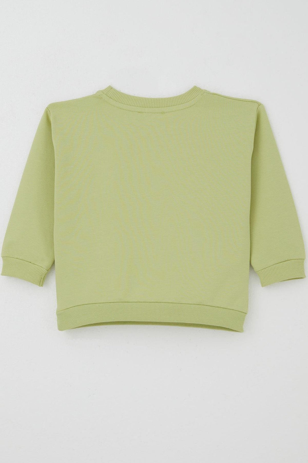 BRE Breeze Girl Child Sweatshirt Swan Crested Bow Detailed 2-6 Years, Pistachio Green - Georgetown