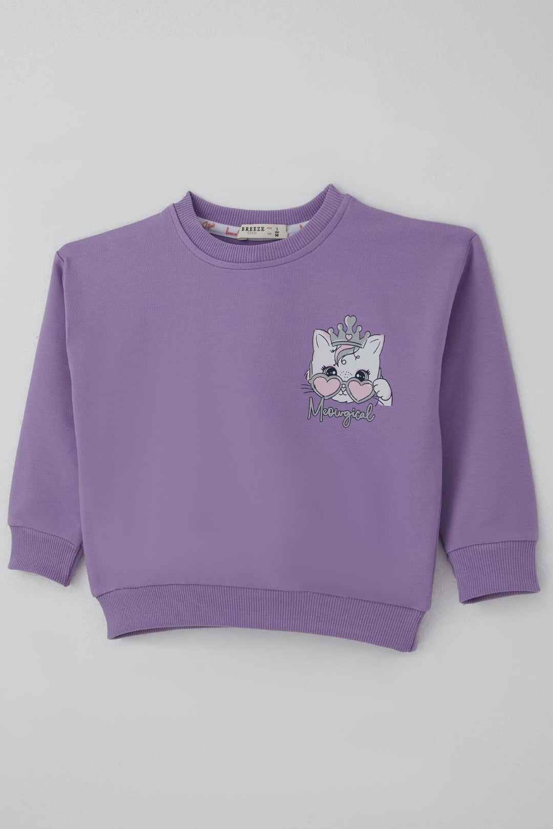 BRE Breeze Kız Çocuk Sweatshirt Minik Taçlı Kedi Prenses Baskılı Sırt Baskı Detaylı 1.5-5 Yaş, Lila - Nancy