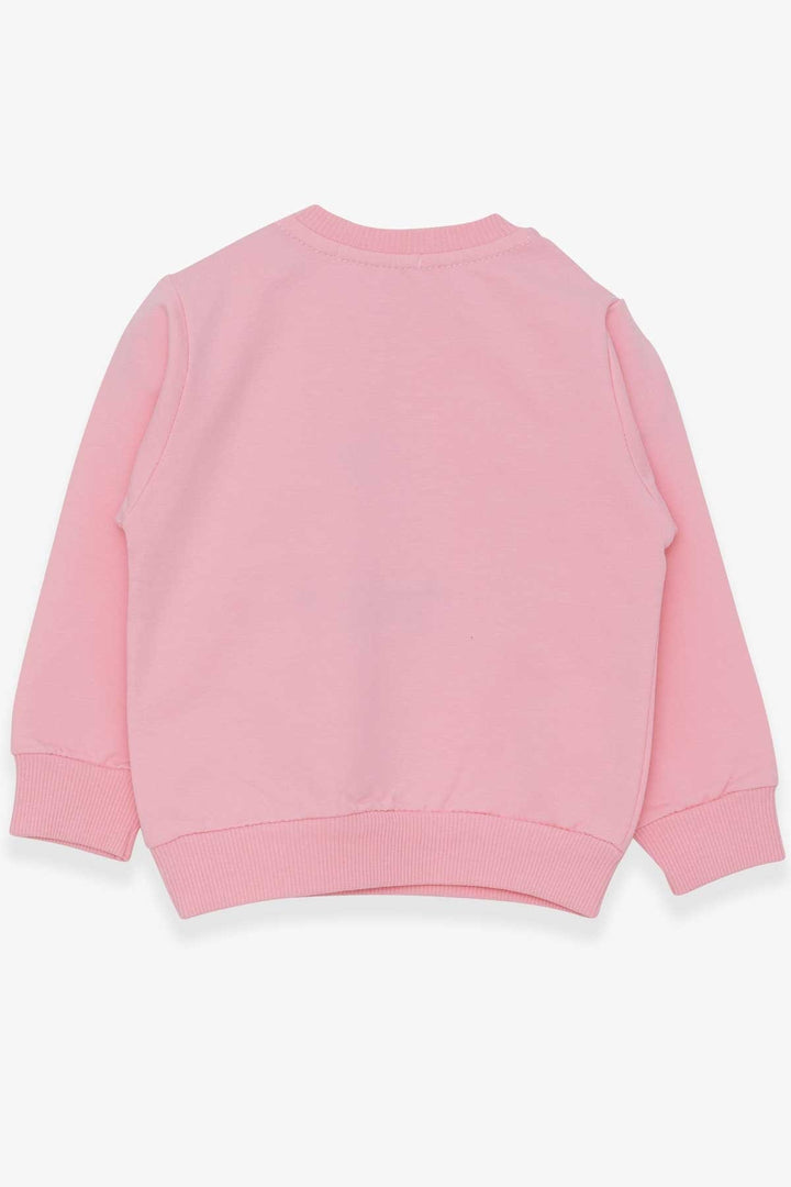 BRE Breeze Girl Child Sweatshirt Embroidered Sequined 1-4 Years, Powder - Heerlen