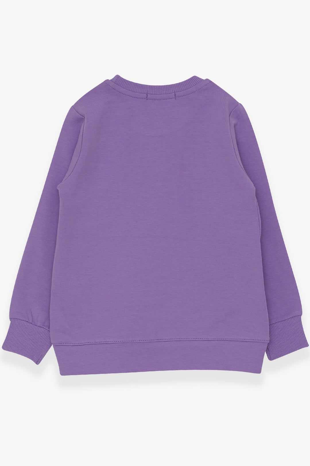BRE Breeze Girl Child Sweatshirt Sequined Girl Printed 3-8 Years, Lilac - Alfortville