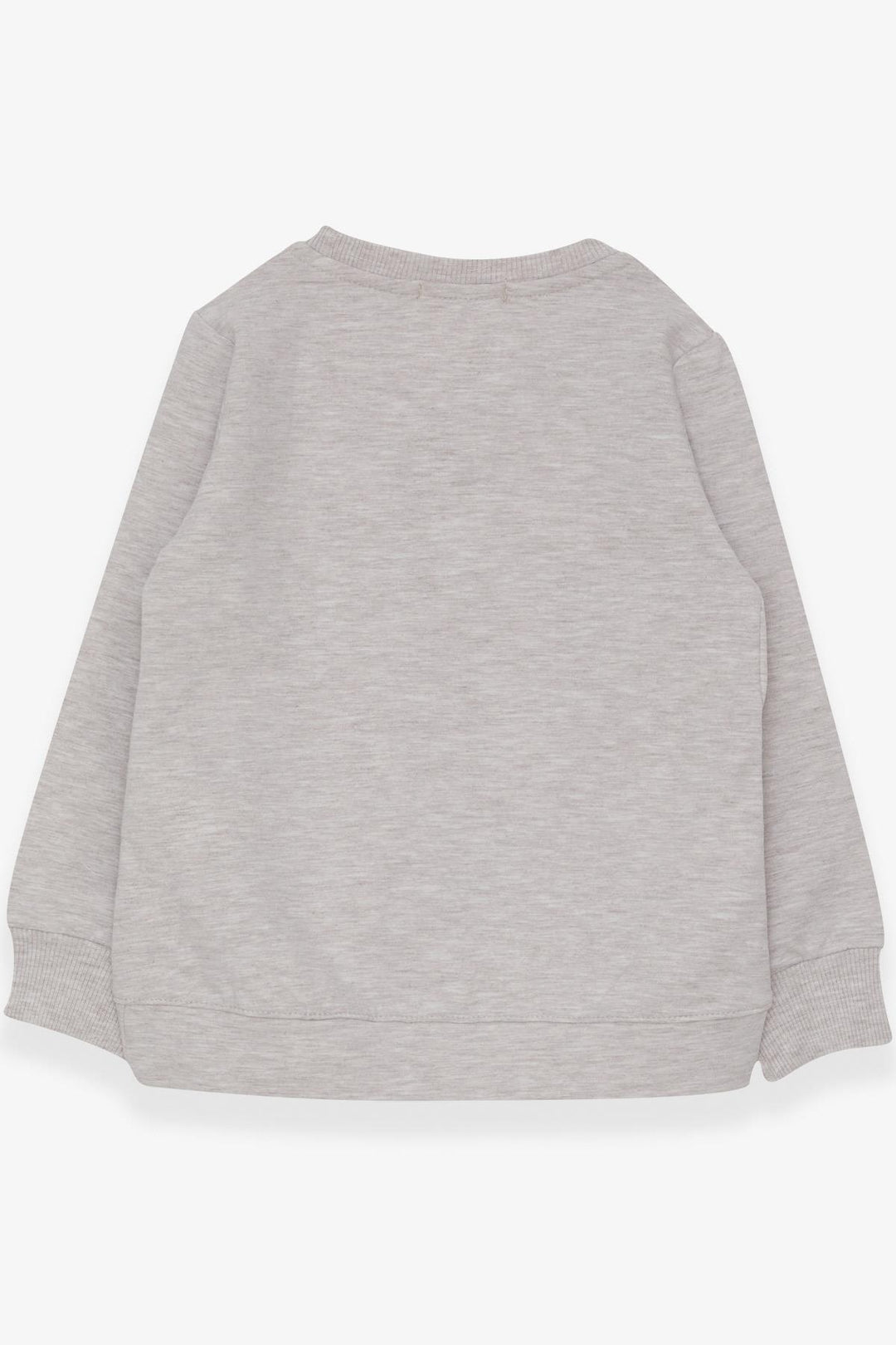 BRE Breeze Girl Child Sweatshirt Sequined Girl Printed 3-8 Years, Beige Melange - Woodbury