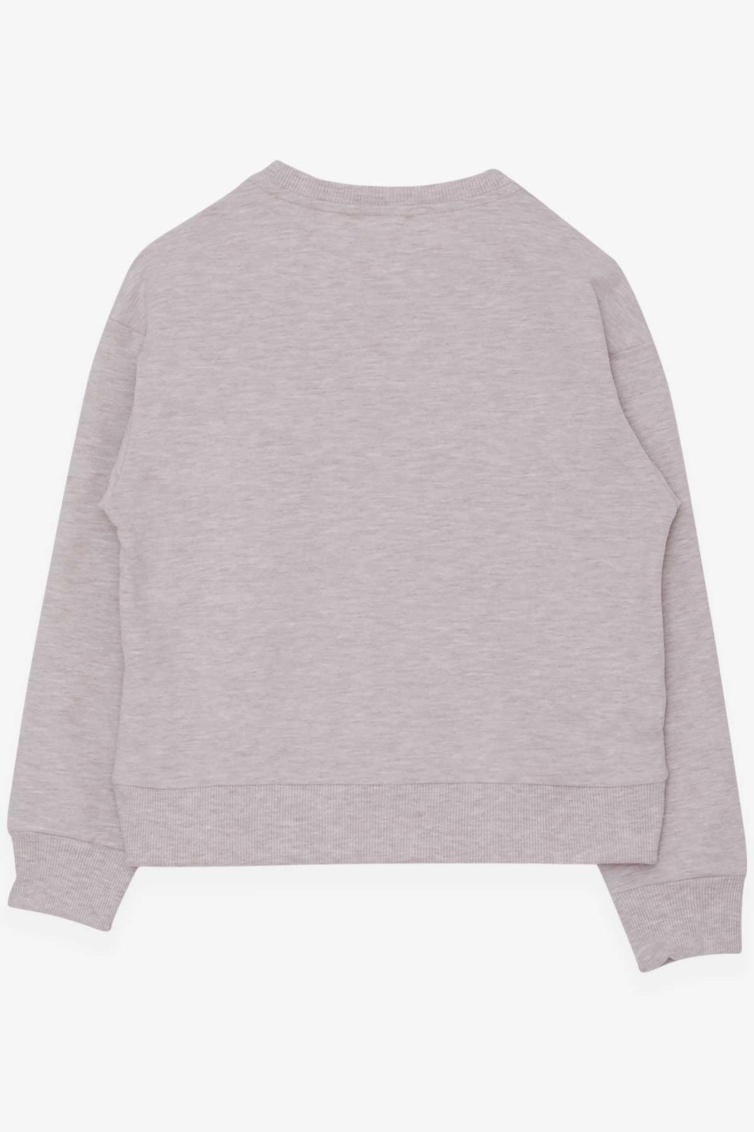 BRE Breeze Girl Child Sweatshirt Sequined Girl Printed 84 Years, Beige Melange - Puerto del Rosario