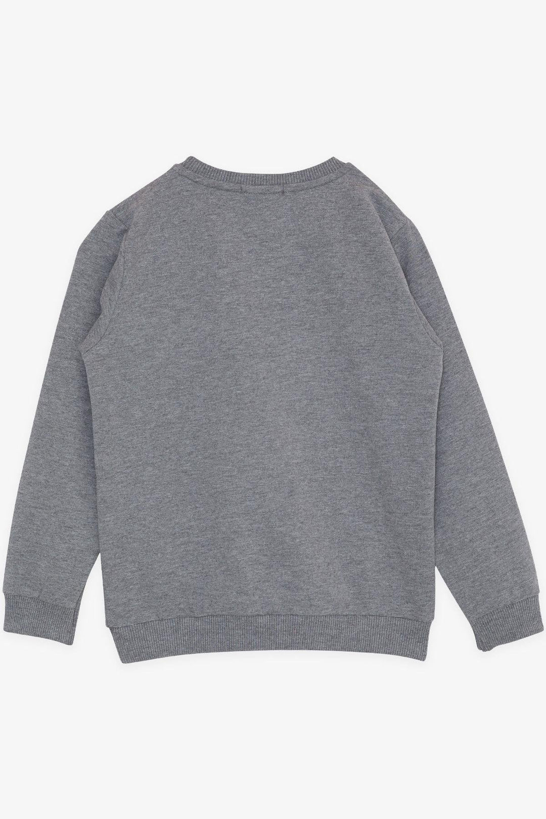 BRE Breeze Girl's Sweatshirt with Sequin Printed Writing, 84 Years, Dark Grey Melange - Everett