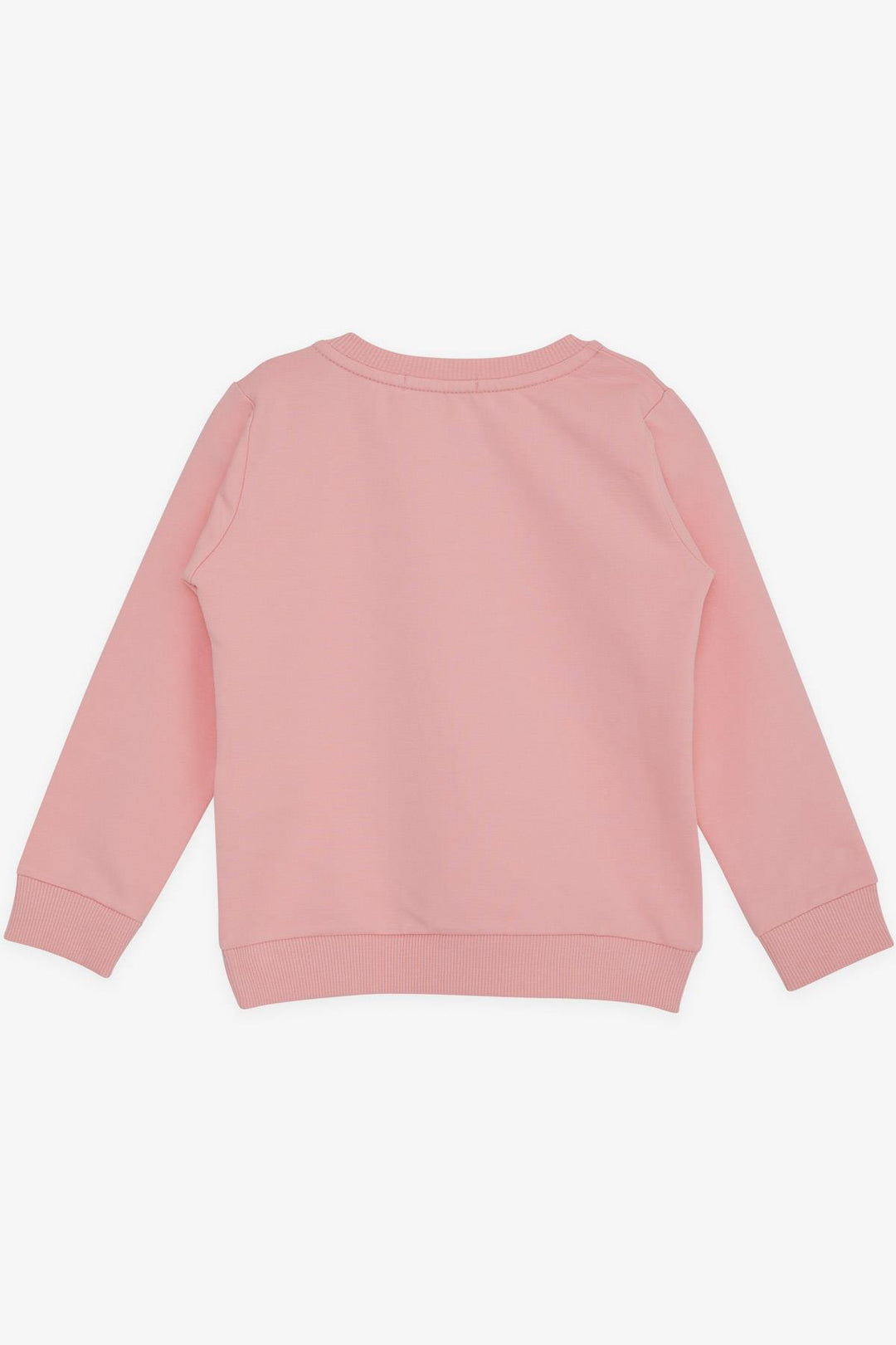 BRE Breeze Girl Child Sweatshirt Cute Gazelle Printed 1.5-5 Years, Pink - Brandenburg