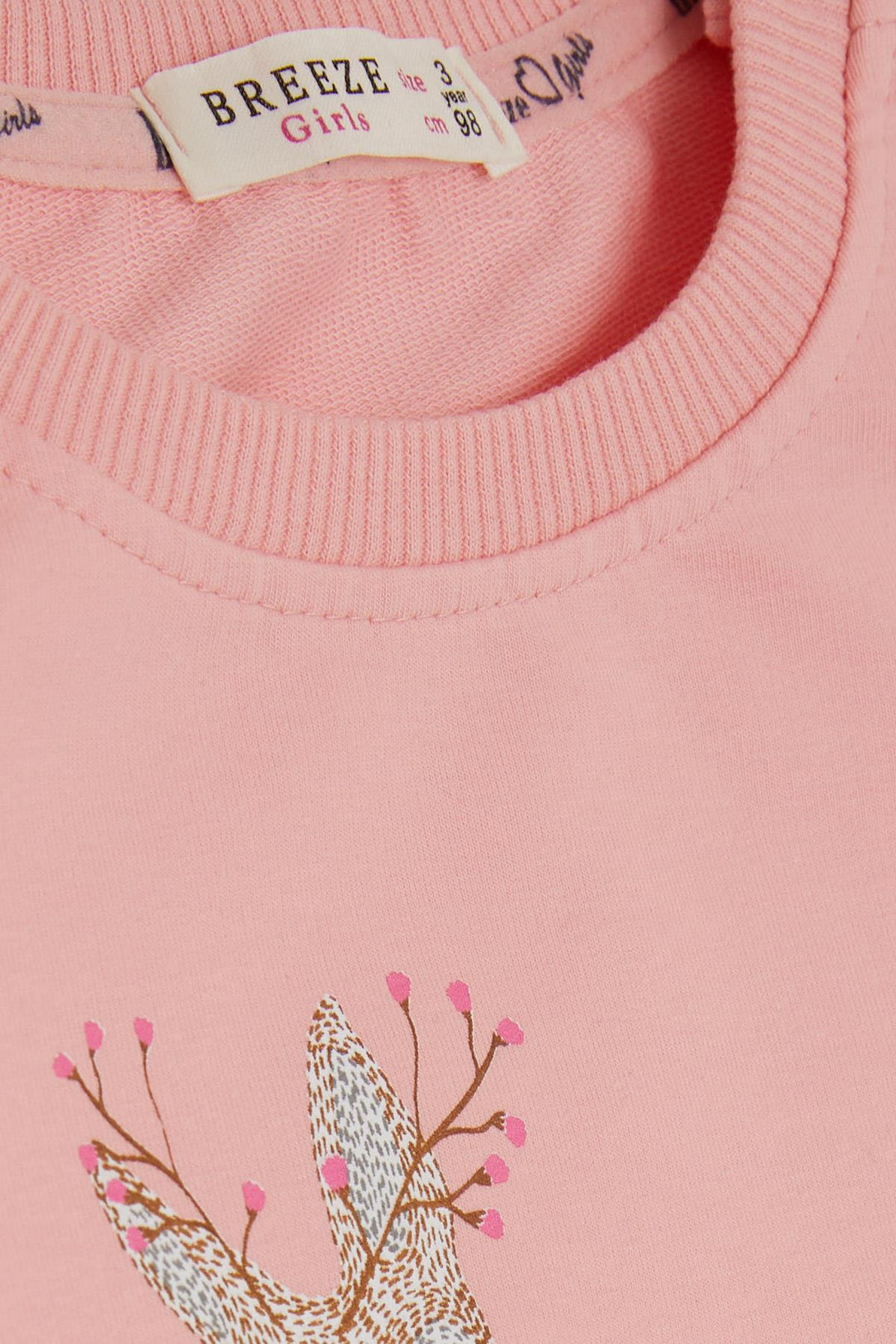 BRE Breeze Girl Child Sweatshirt Cute Gazelle Printed 1.5-5 Years, Pink - Brandenburg