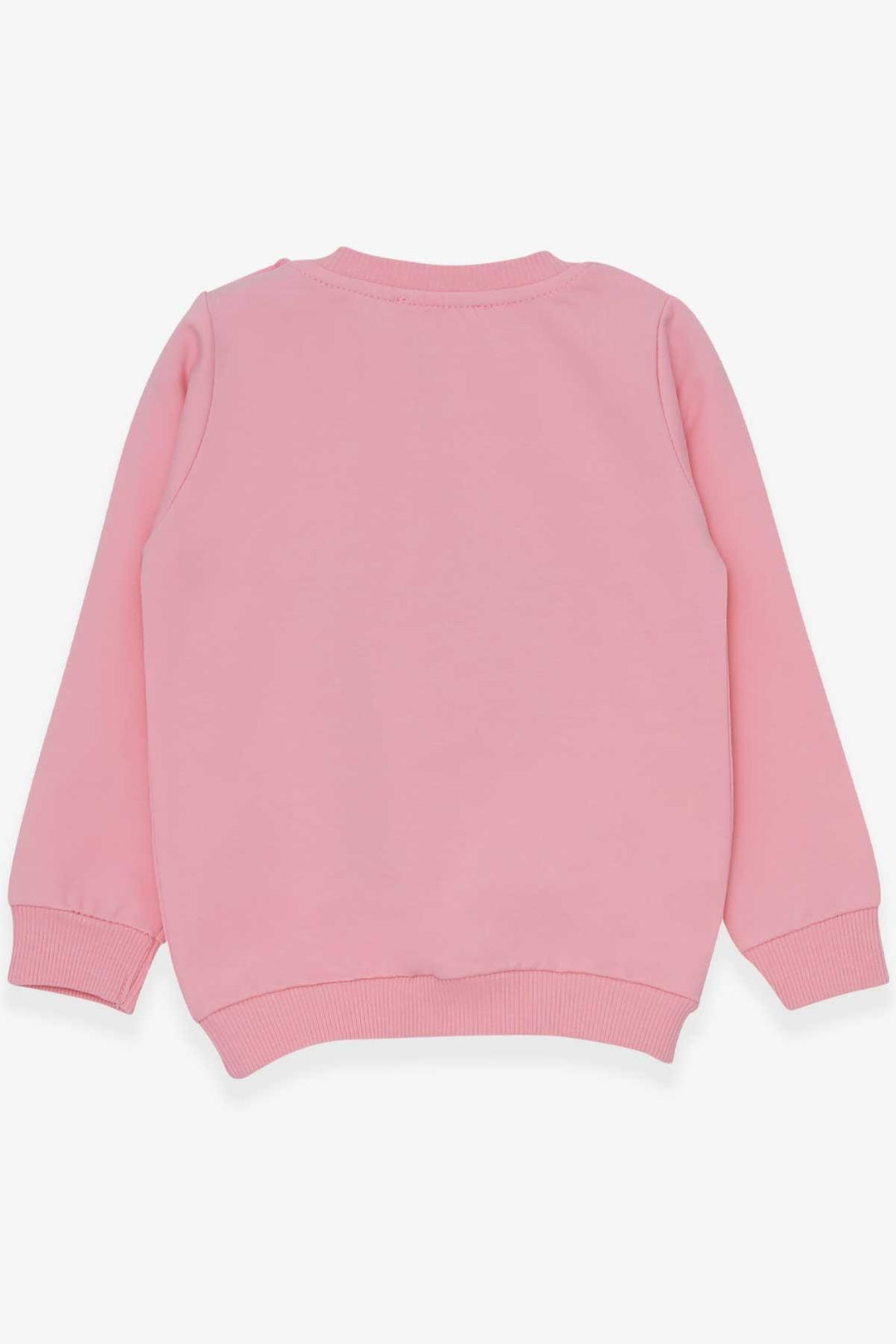 BRE Breeze Girl Child Sweatshirt Cute Animal Printed 1.5-5 Years, Powder - Hervey Bay