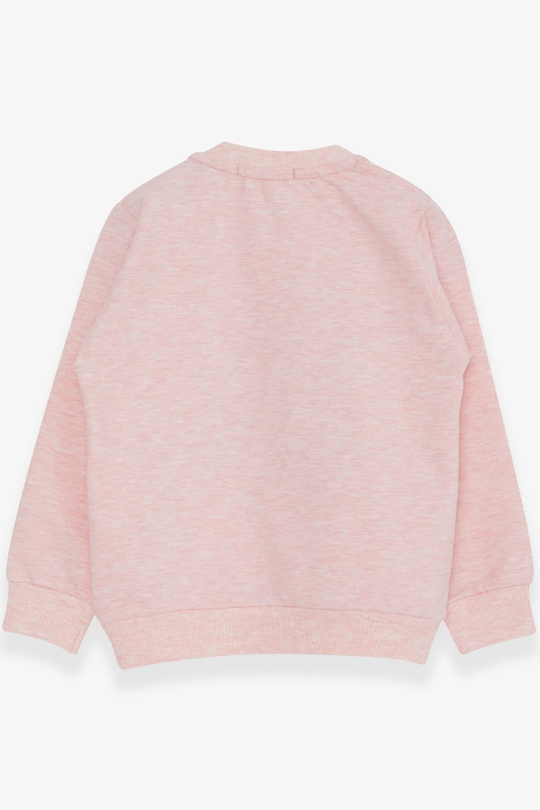 BRE Breeze Girl Child Sweatshirt Cute Girl Printed 1.5-5 Years, Salmon Melange - Ávila