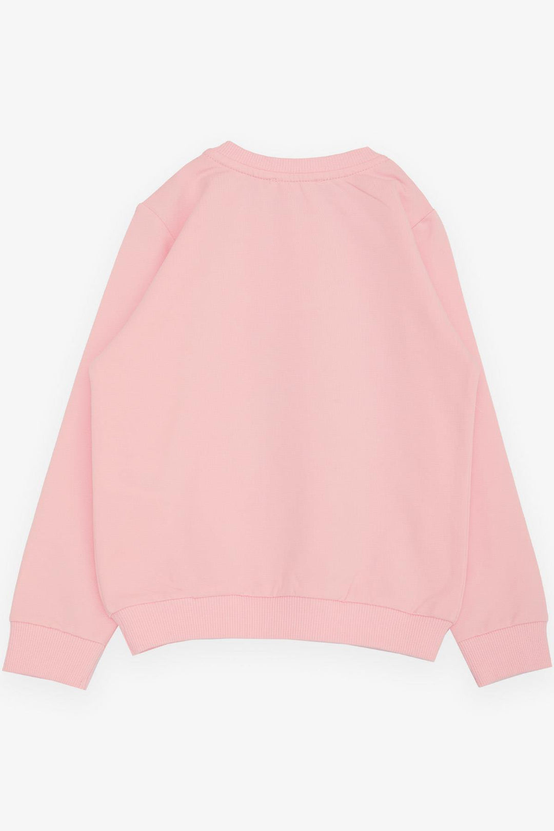BRE Breeze Girl Child Sweatshirt Cute Glittery Bunny Printed 1.5-5 Years, Pink - Camden