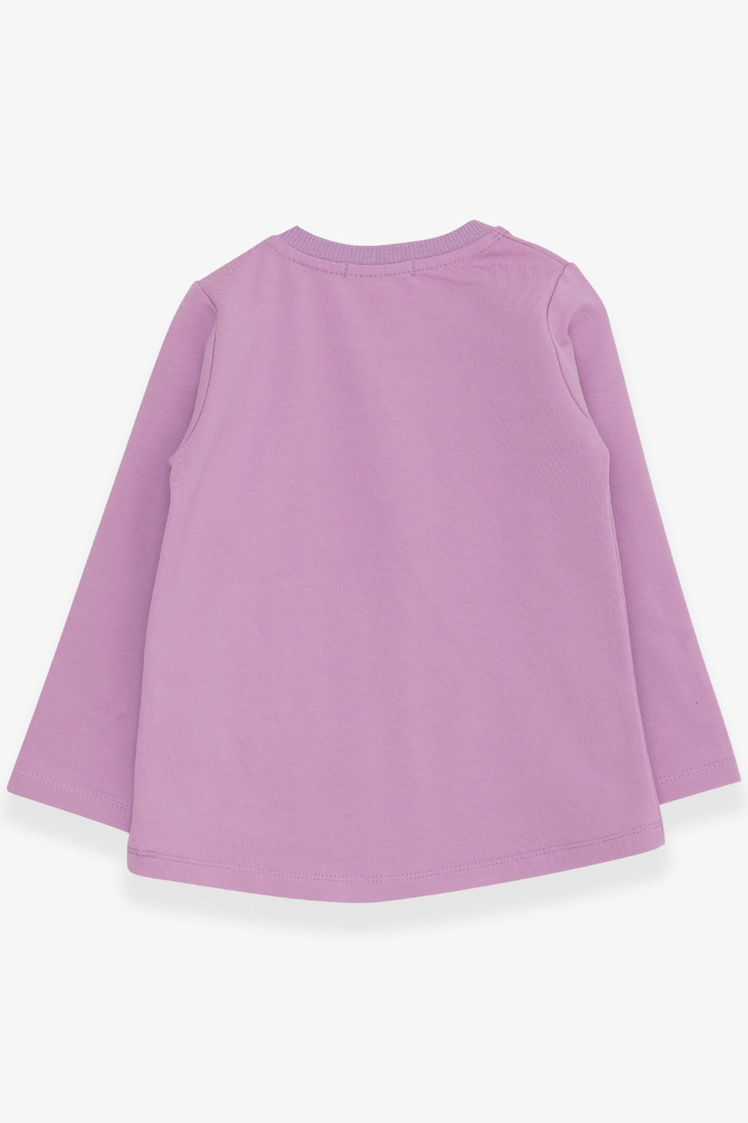BRE Breeze Girl Child Sweatshirt Cute Unicorn Printed 1-4 Years, Purple - Rijswijk