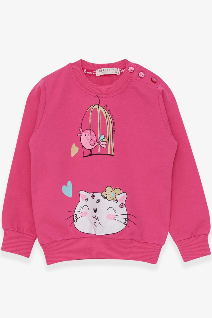 BRE Breeze Girl Child Sweatshirt with Glittery Cat Print, 1.5-5 Years, Pink - Chemnitz