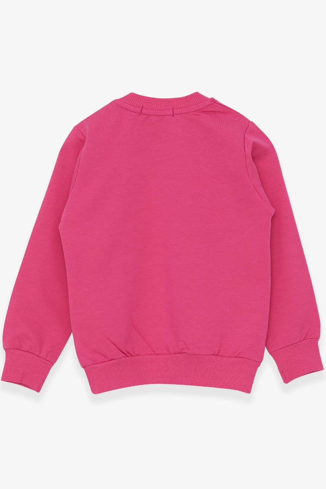 BRE Breeze Girl Child Sweatshirt with Glittery Cat Print, 1.5-5 Years, Pink - Chemnitz