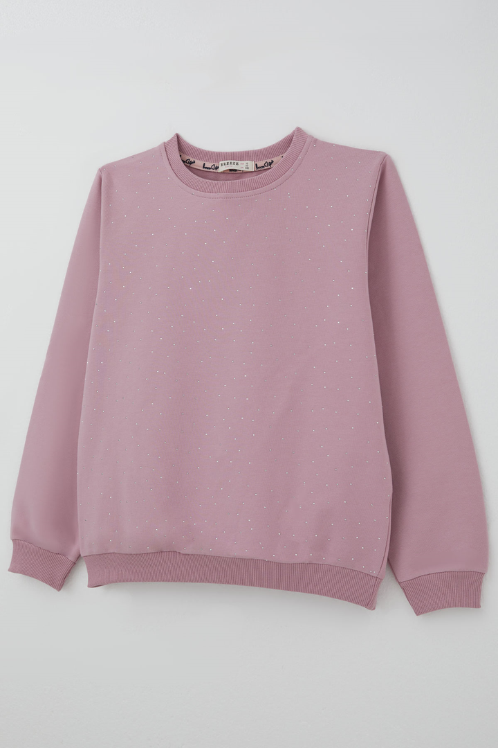 BRE Breeze Kız Çocuk Sweatshirt Taş Aksesuarlı 94 Yaş , Gülkurusu - Afragola