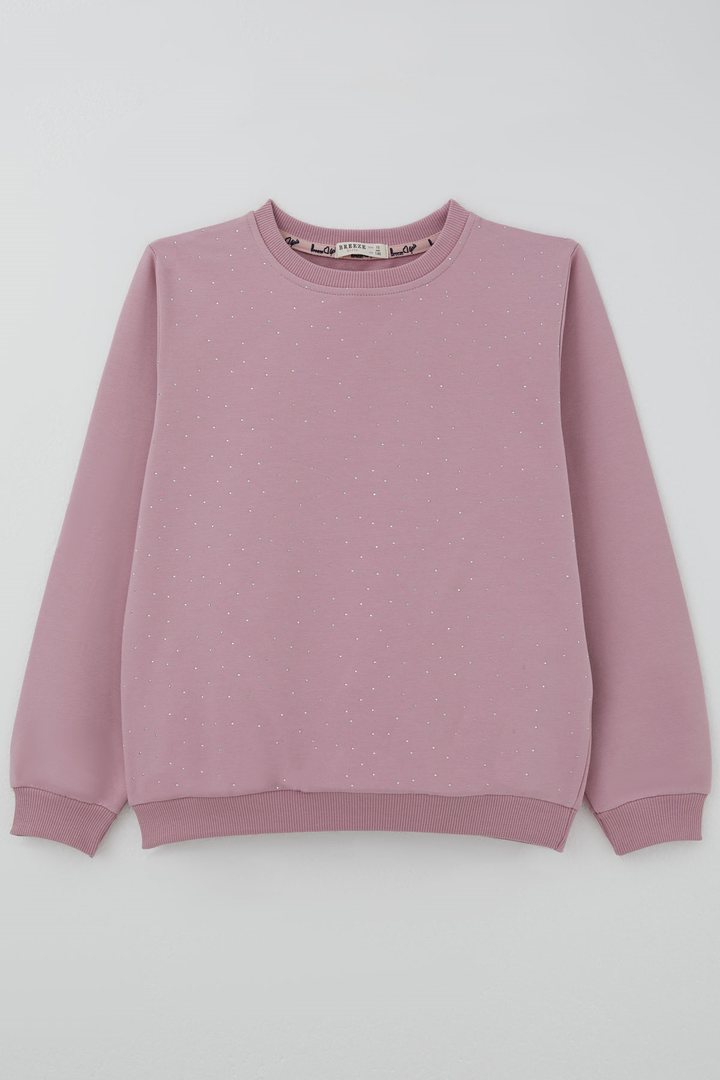 BRE Breeze Kız Çocuk Sweatshirt Taş Aksesuarlı 94 Yaş , Gülkurusu - Afragola
