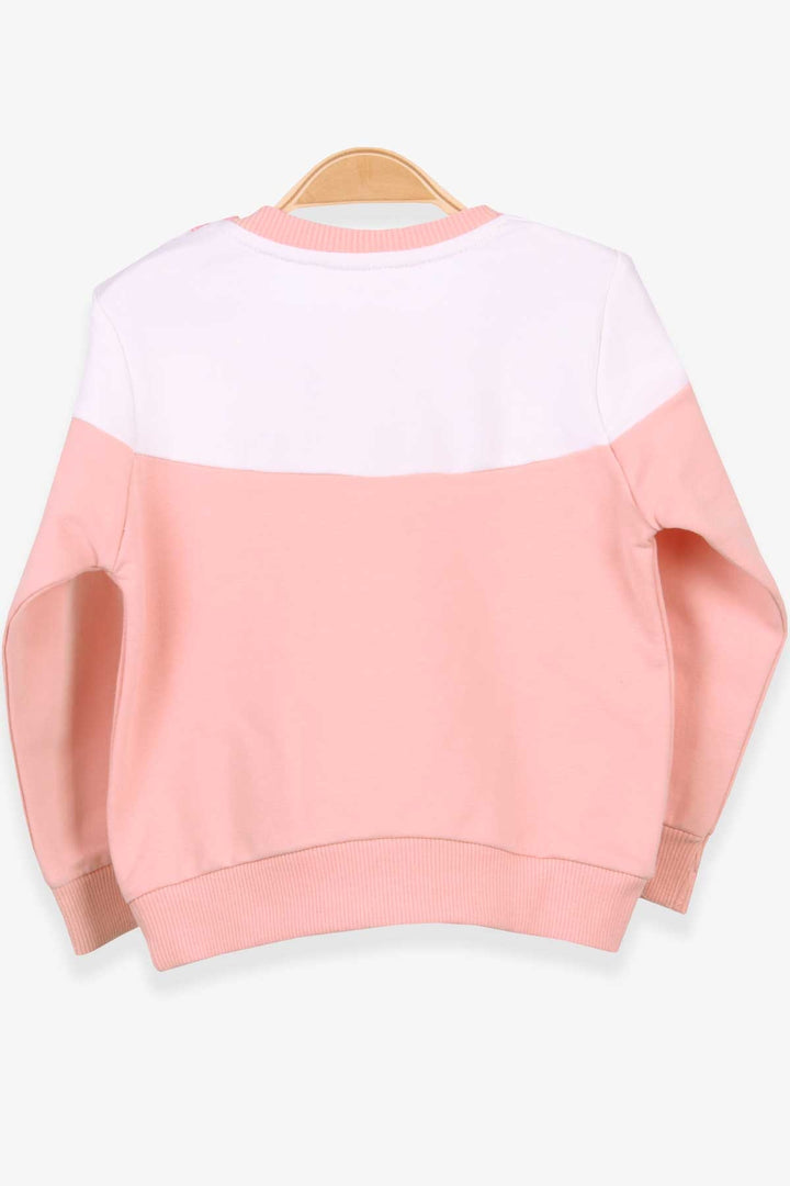 BRE Breeze Girl Child Sweatshirt with Rabbit Embroidery, 1-4 Years, Salmon - Auxerre