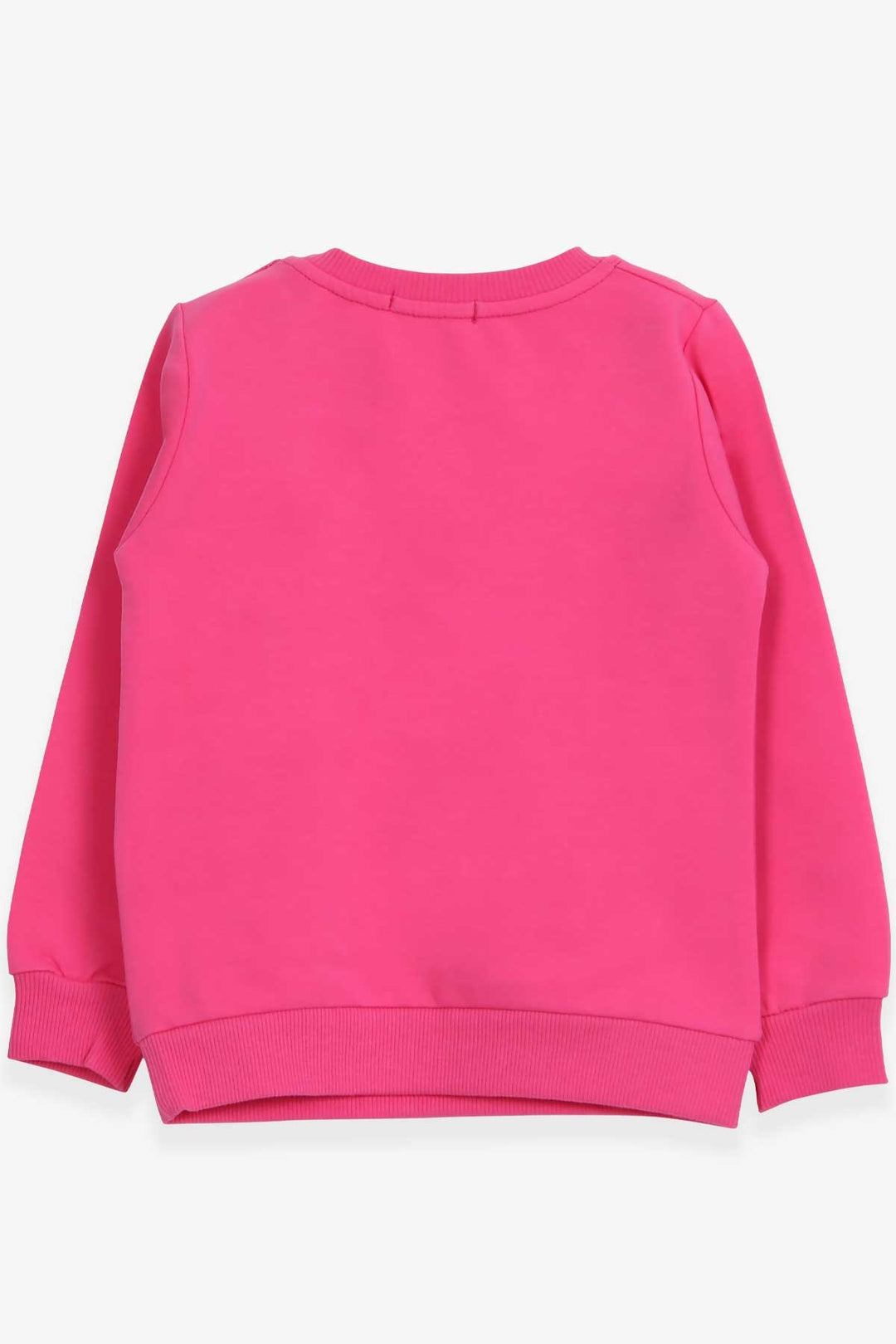 BRE Breeze Girl Child Sweatshirt Unicorn Printed 2-6 Years, Pink - Andover