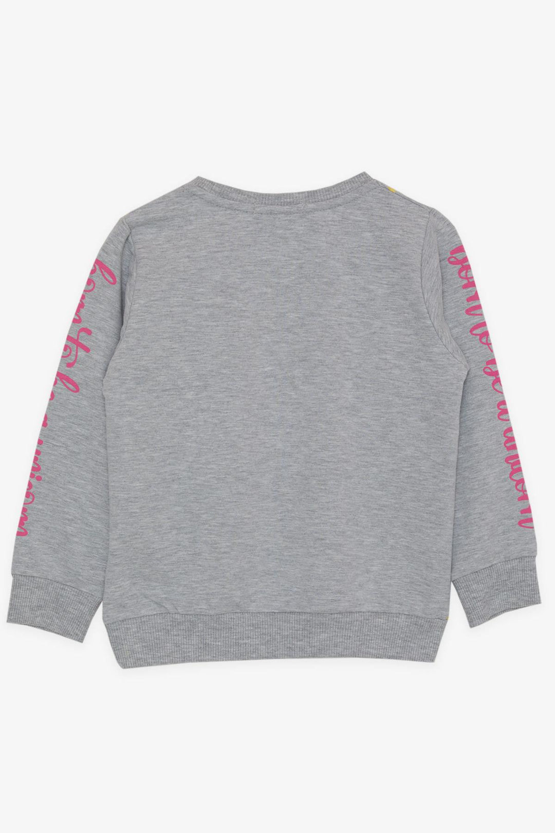 BRE Breeze Girl Child Sweatshirt Unicorn Printed 2-6 Years, Grey Melange - South Shields