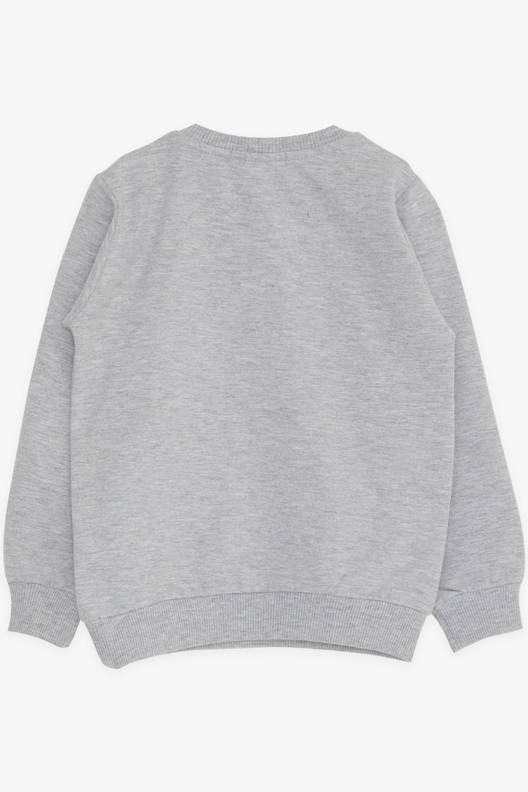 BRE Breeze Girl Child Sweatshirt Unicorn Printed 2-6 Years, Gray Melange - Benidorm