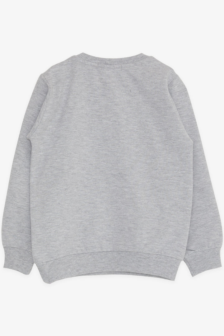 BRE Breeze Girl Child Sweatshirt Unicorn Printed 2-6 Years, Gray Melange - Benidorm