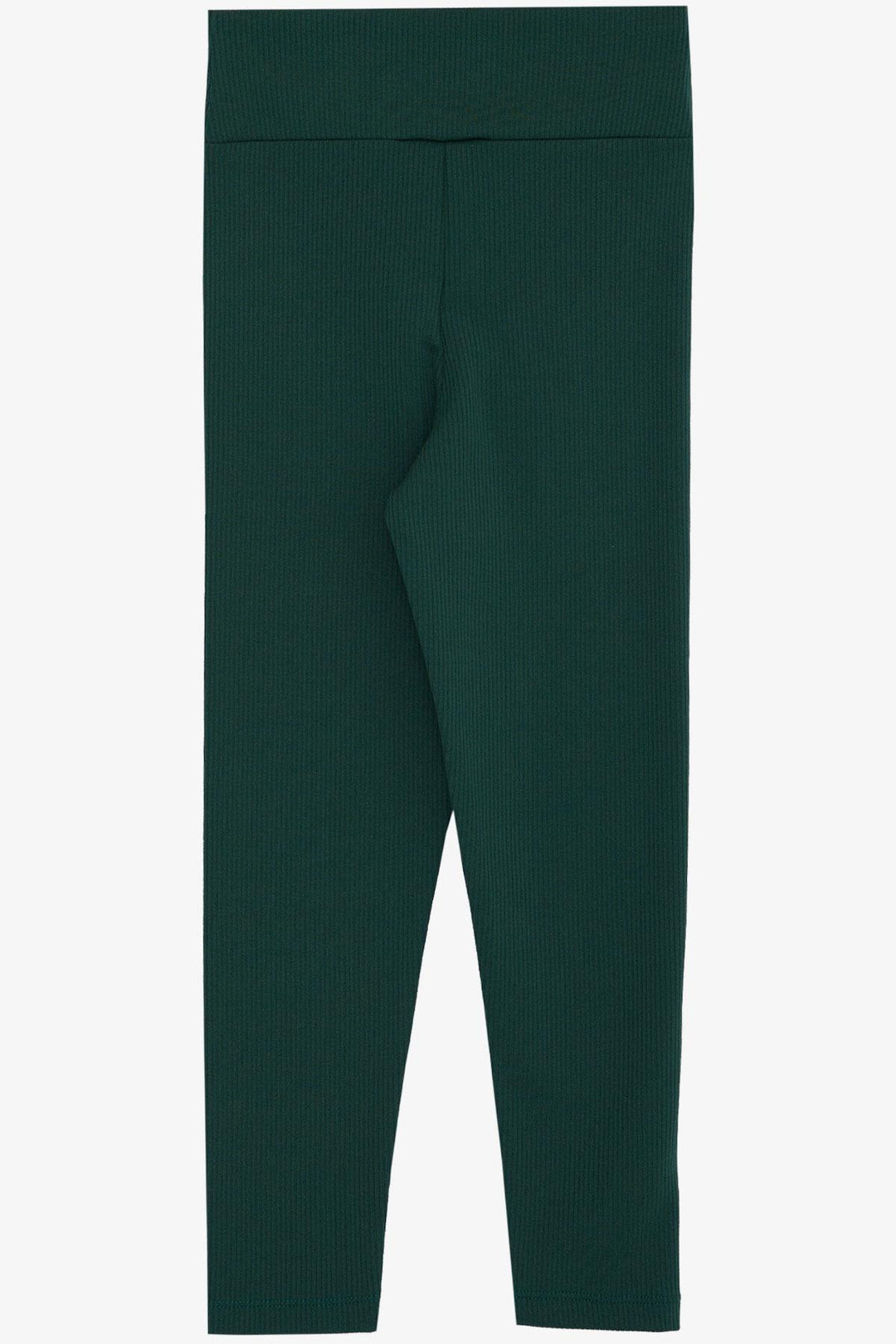 BRE Breeze Girl Leggings Fashion Stoned Water Green (84 عامًا) سراويل ضيقة للفتيات Fashion Stoned 84 عامًا، أخضر زمردي - Frechen