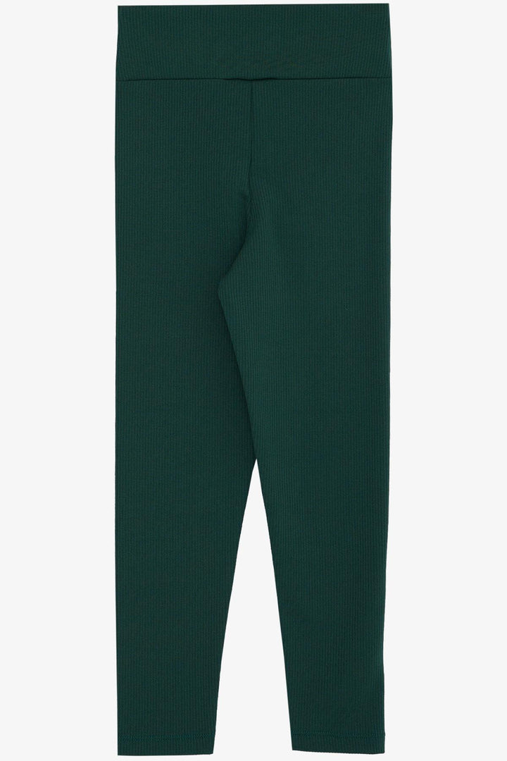 BRE Breeze Girl Leggings Fashion Stoned Water Green (84 عامًا) سراويل ضيقة للفتيات Fashion Stoned 84 عامًا، أخضر زمردي - Frechen