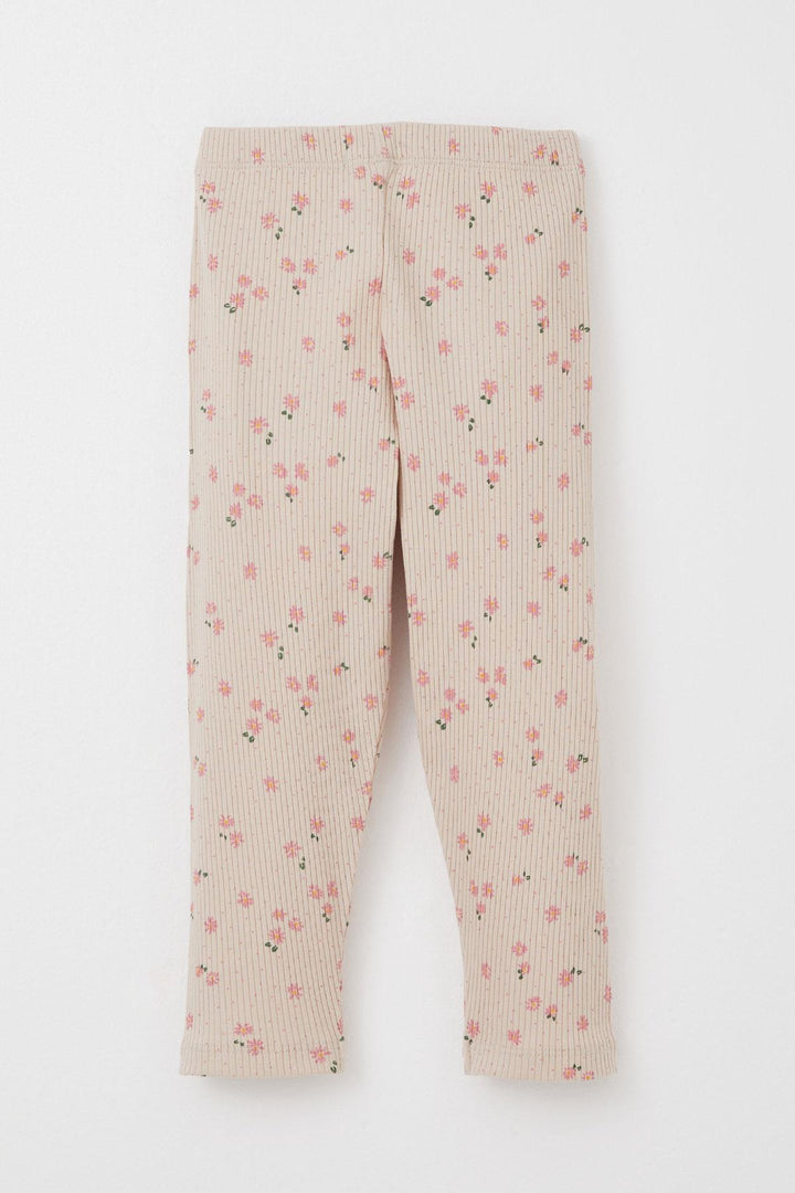 BRE Breeze Girl Child Leggings Set with Flower Patterned Frilly Shoulders 2-6 Years, Beige - Columbus