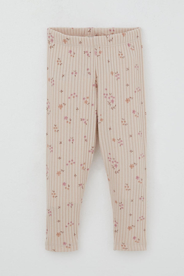 BRE Breeze Girl Child Leggings Set with Flower Patterned Ruffled Shoulder Detail, 2-6 Years, Powder - Kissimmee