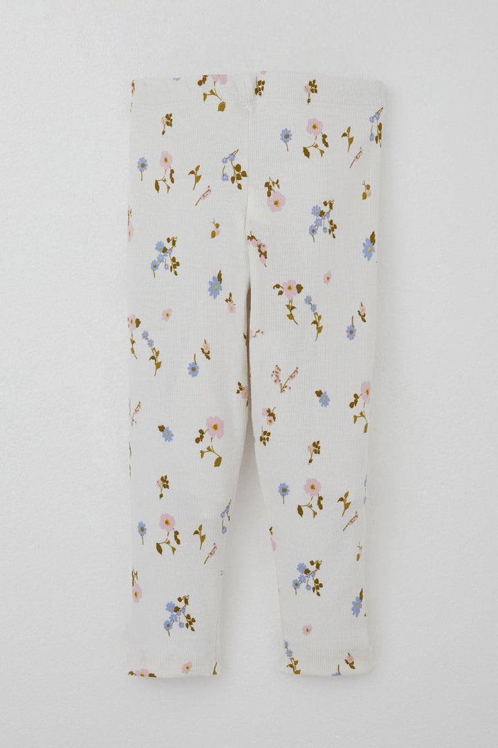 BRE Breeze Girl Child Leggings Set with Flower Patterned Ruffled Sleeves Detail 2-6 Years, Ecru - Bangor