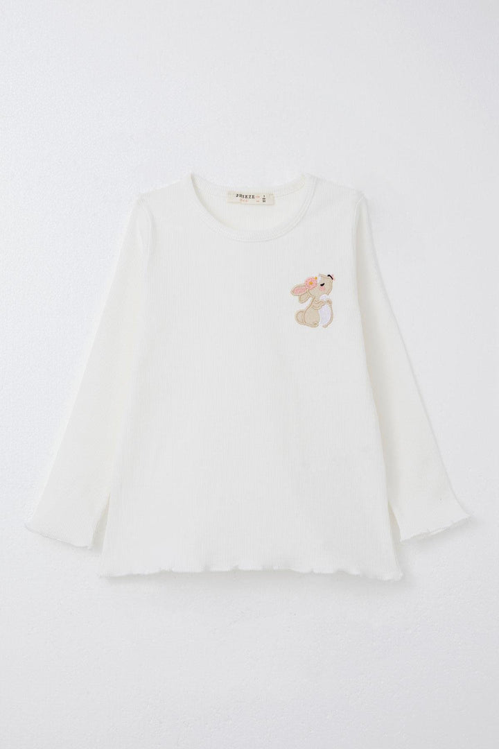 BRE Breeze Girl's Leggings Set with Cute Bunny Embroidery, 2-6 Years, Beige - Călăraşi