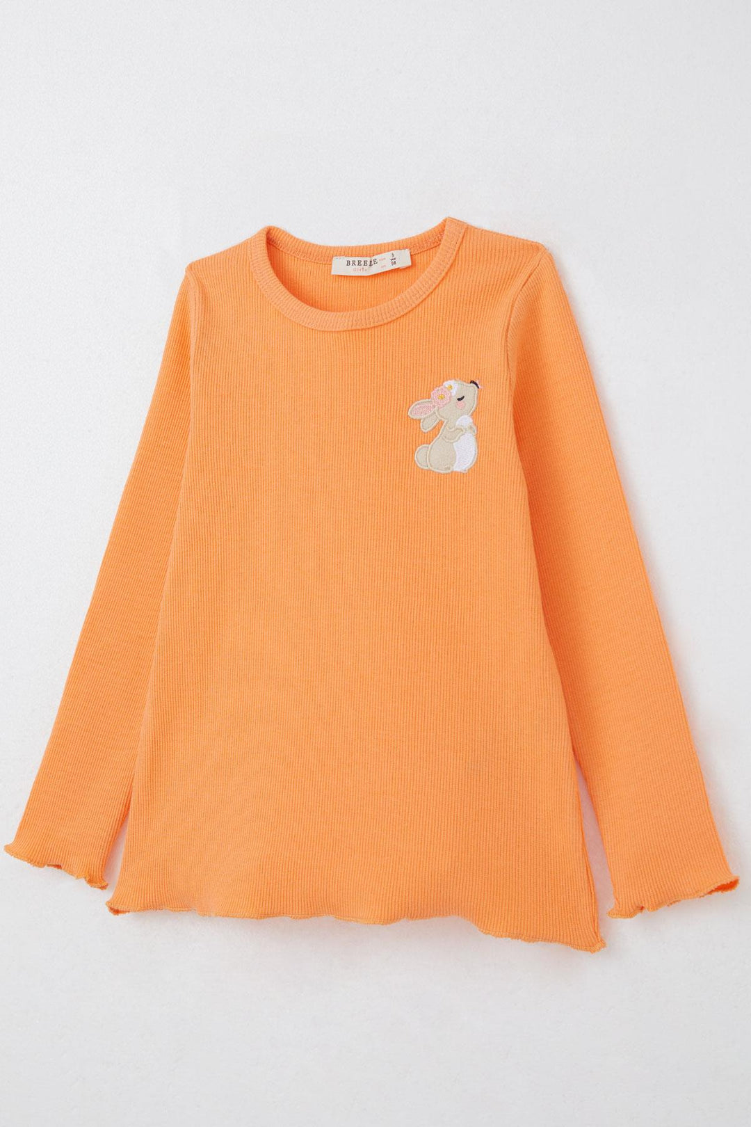 BRE Breeze Girl's Leggings Set with Cute Bunny Embroidery, 2-6 Years, Salmon - Inverness